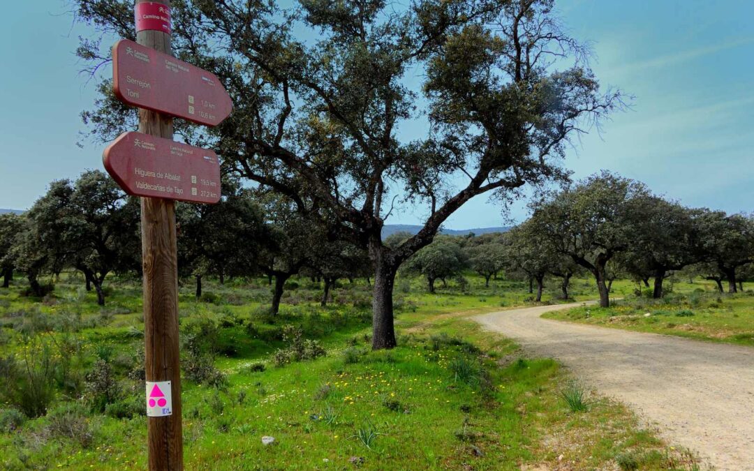 Ruta: Camino Natural del Tajo (E-34)