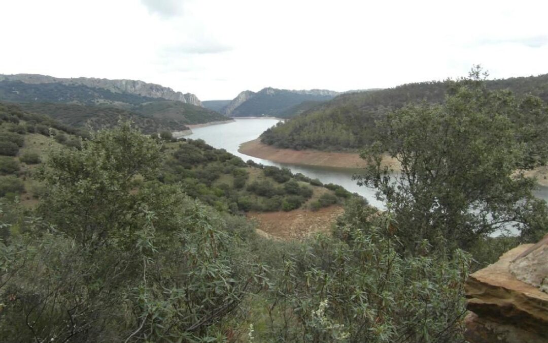 Ruta del Camino de la barca