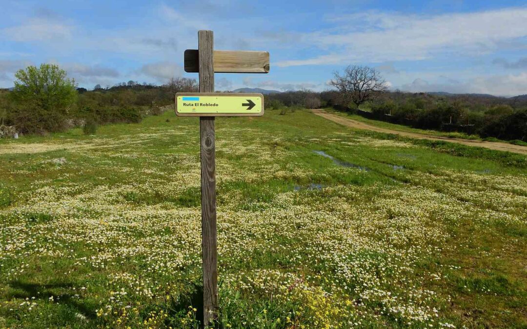 Ruta del Robledo