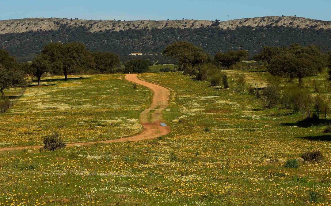 Ruta al Molino de la Hoyuela