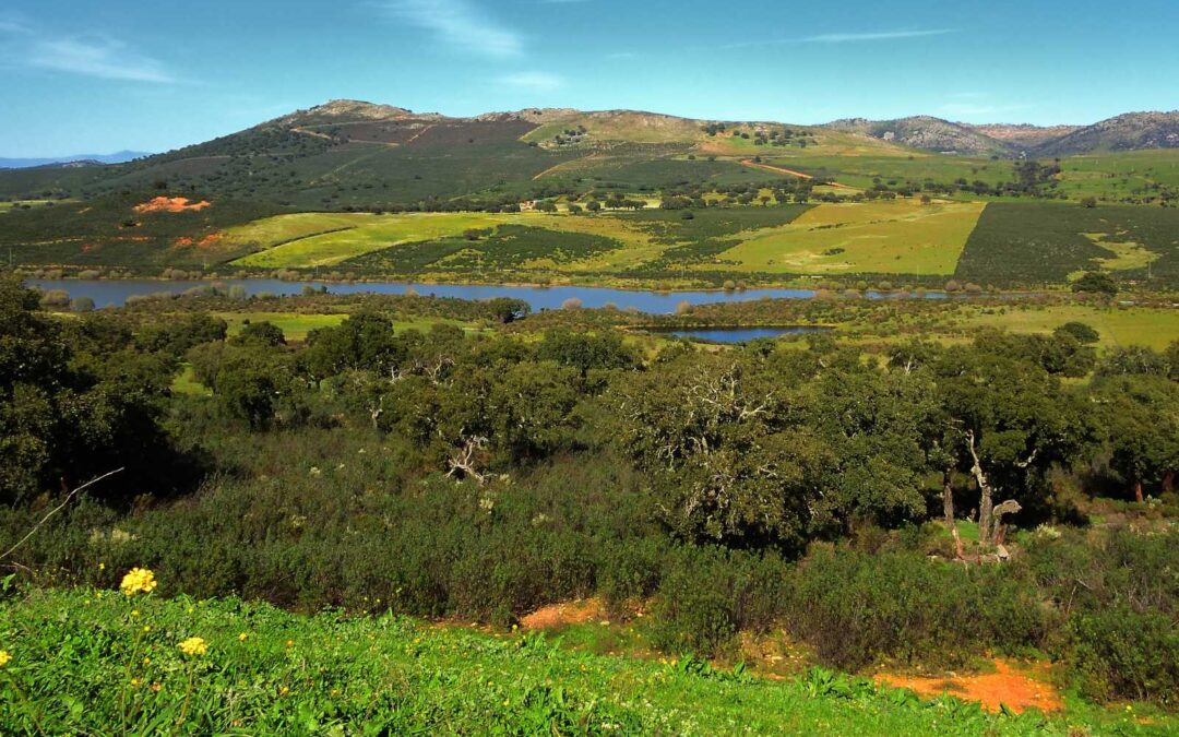 Ruta de la Cañada a Miravete